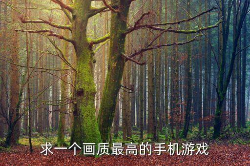求一個(gè)畫(huà)質(zhì)最高的手機(jī)游戲