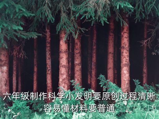 六年級制作科學(xué)小發(fā)明要原創(chuàng)過程清晰容易懂材料要普通