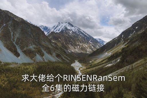 ai換臉全免費，求大佬給個RINSENRanSem全6集的磁力鏈接