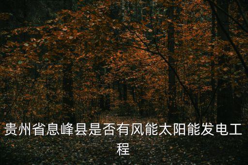 貴州風(fēng)電項(xiàng)目招標(biāo)，貴州韭菜坪風(fēng)電二期中標(biāo)單位