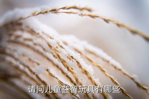 請問兒童益智玩具有哪些