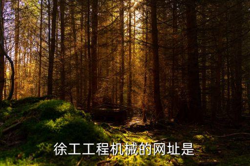 徐工工程機(jī)械的網(wǎng)址是