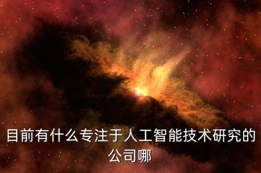 目前有什么專注于人工智能技術(shù)研究的公司哪