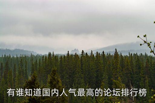 有誰知道國內(nèi)人氣最高的論壇排行榜