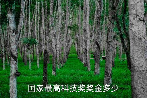 國(guó)家最高科技獎(jiǎng)獎(jiǎng)金多少