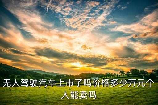 無人駕駛汽車上市了嗎價格多少萬元個人能賣嗎