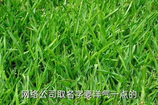 網(wǎng)絡(luò)公司取名字要洋氣一點(diǎn)的