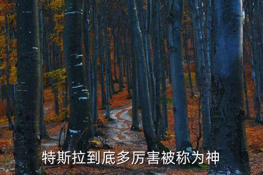 特斯拉到底多厲害被稱為神