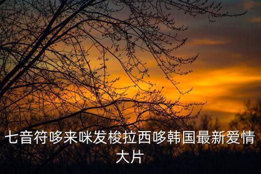 七音符哆來咪發(fā)梭拉西哆韓國最新愛情大片
