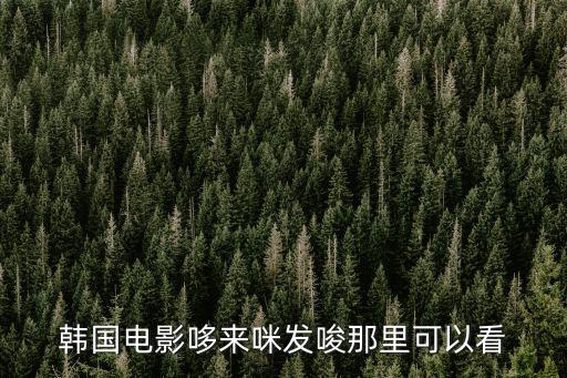 韓國電影哆來咪發(fā)唆那里可以看
