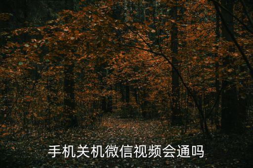 黑科技無人直播下載軟件，手機關(guān)機微信視頻會通嗎