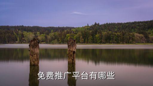 免費(fèi)推廣平臺(tái)有哪些
