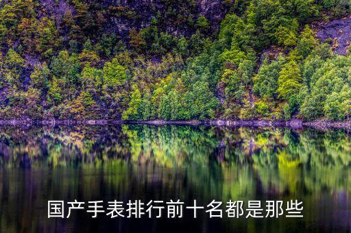 國產(chǎn)手表排行前十名都是那些