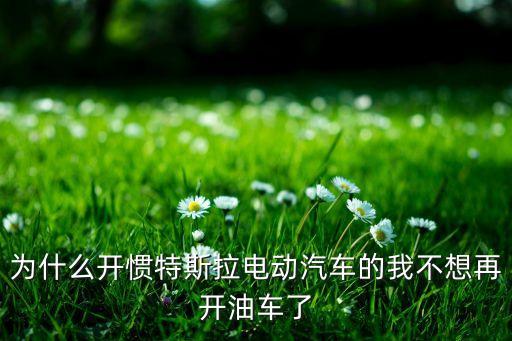 特斯拉車為啥不敢開，特斯拉手機(jī)應(yīng)用為什么不能啟動(dòng)車子