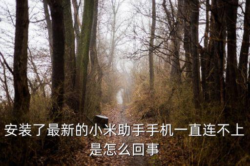 安裝了最新的小米助手手機(jī)一直連不上是怎么回事