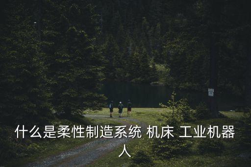 什么是柔性制造系統(tǒng) 機(jī)床 工業(yè)機(jī)器人