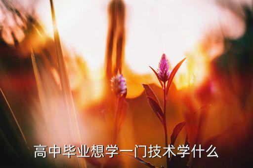 高中學(xué)歷想學(xué)一門技術(shù)，高中畢業(yè)后學(xué)一門什么技術(shù)好