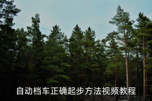 自動檔車正確起步方法視頻教程