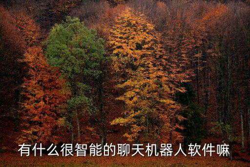 有什么很智能的聊天機器人軟件嘛