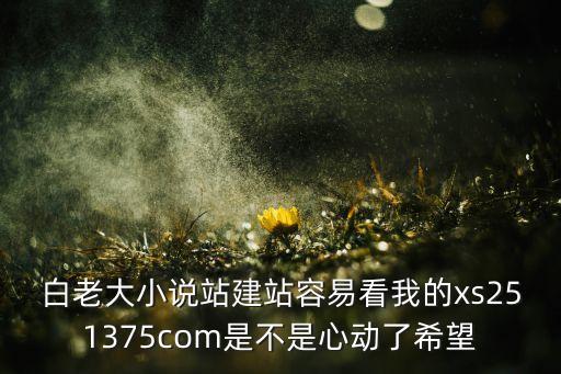 白老大小說站建站容易看我的xs251375com是不是心動了希望