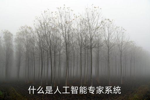 什么是人工智能專家系統(tǒng)