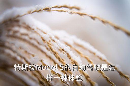 特斯拉自動(dòng)駕駛技術(shù)成熟嗎，特斯拉全系車輛都將完全自動(dòng)駕駛技術(shù)夠格了嗎