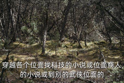 穿越各個(gè)位面找科技的小說或位面商人的小說或到別的武俠位面的