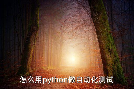怎么用python做自動化測試