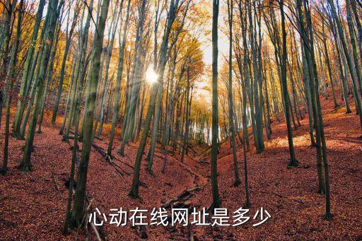 心動(dòng)直播免費(fèi)版，心動(dòng)在線網(wǎng)址是多少