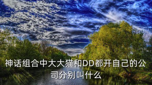 神話組合中大大貓和DD都開自己的公司分別叫什么