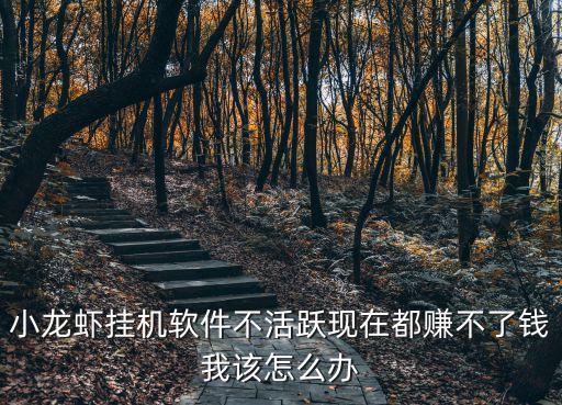 小龍蝦掛機(jī)軟件不活躍現(xiàn)在都賺不了錢我該怎么辦