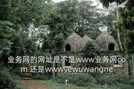 業(yè)務(wù)網(wǎng)的網(wǎng)址是不是www業(yè)務(wù)網(wǎng)com 還是wwwyewuwangnet