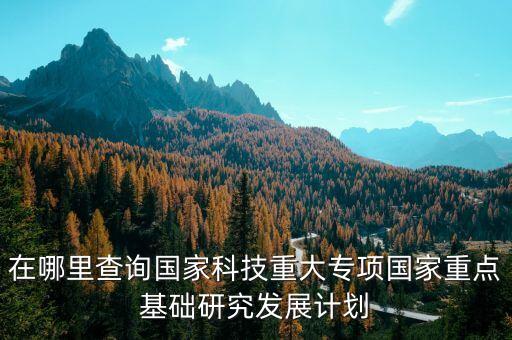 在哪里查詢國家科技重大專項(xiàng)國家重點(diǎn)基礎(chǔ)研究發(fā)展計(jì)劃