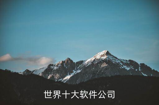 世界十大軟件公司