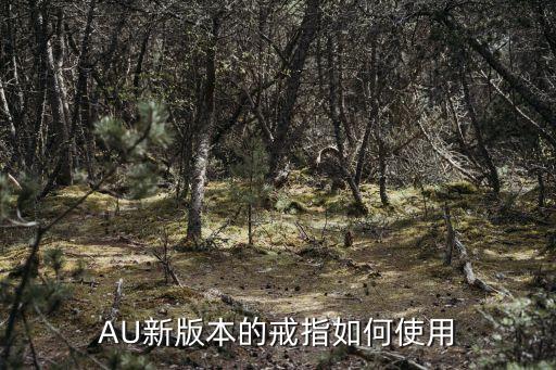 AU新版本的戒指如何使用