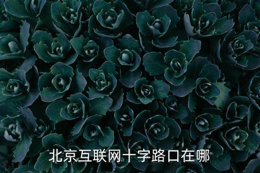 北京互聯(lián)網(wǎng)十字路口在哪