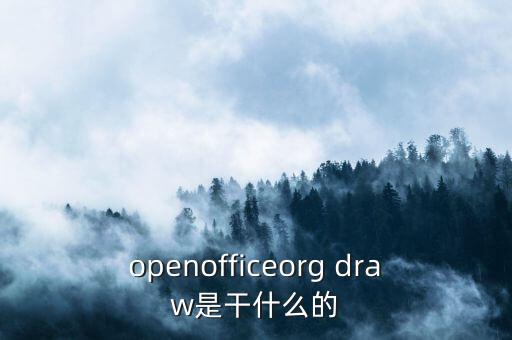 openai是干嘛的，openofficeorg draw是干什么的