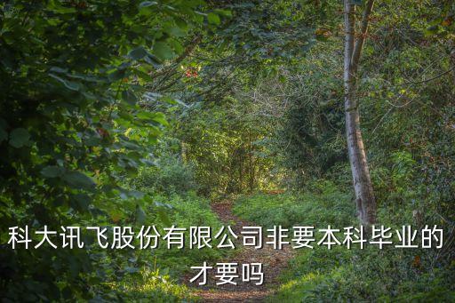 科大訊飛股份有限公司非要本科畢業(yè)的才要嗎