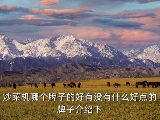 炒菜機(jī)哪個(gè)牌子的好有沒(méi)有什么好點(diǎn)的牌子介紹下