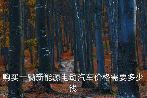 購買一輛新能源電動汽車價格需要多少錢