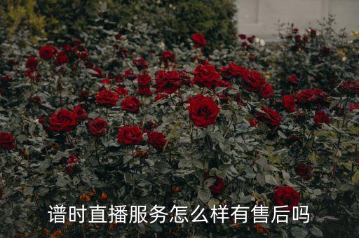 譜時直播服務怎么樣有售后嗎