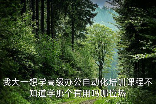 我大一想學高級辦公自動化培訓課程不知道學那個有用嗎哪位熱