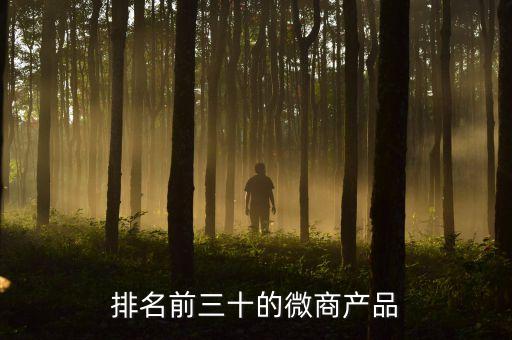 排名前三十的微商產品