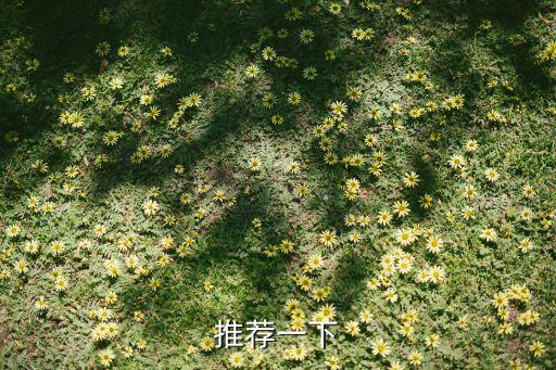 推薦一下
