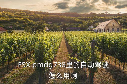 FSX pmdg738里的自動駕駛怎么用啊