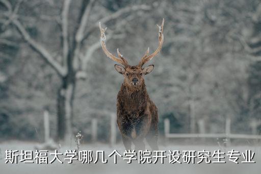斯坦福大學(xué)哪幾個學(xué)院開設(shè)研究生專業(yè)