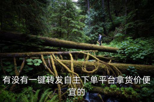 有沒有一鍵轉(zhuǎn)發(fā)自主下單平臺(tái)拿貨價(jià)便宜的