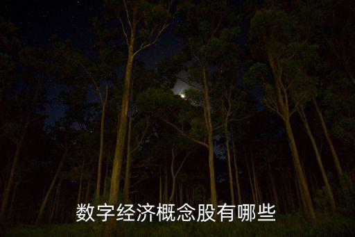 數(shù)字經(jīng)濟(jì)概念股有哪些