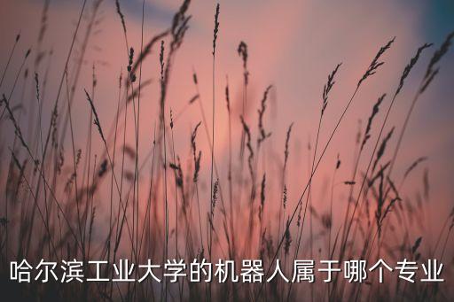 哈爾濱工業(yè)大學(xué)的機(jī)器人屬于哪個(gè)專(zhuān)業(yè)