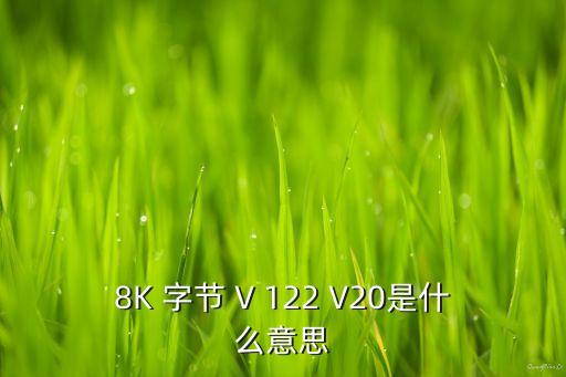 8K 字節(jié) V 122 V20是什么意思